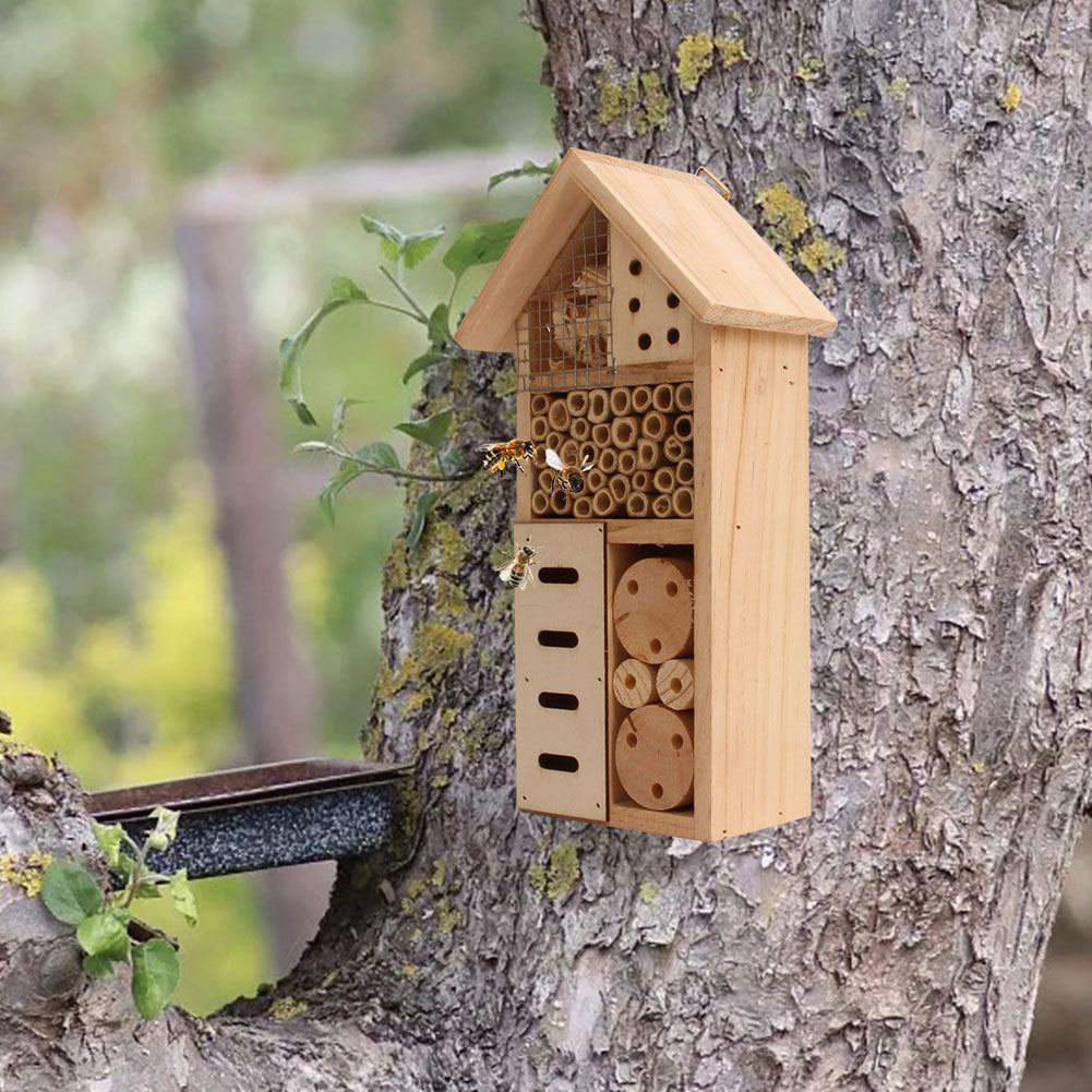 insect house