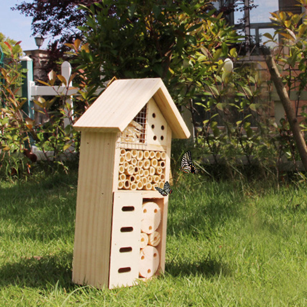 insect house