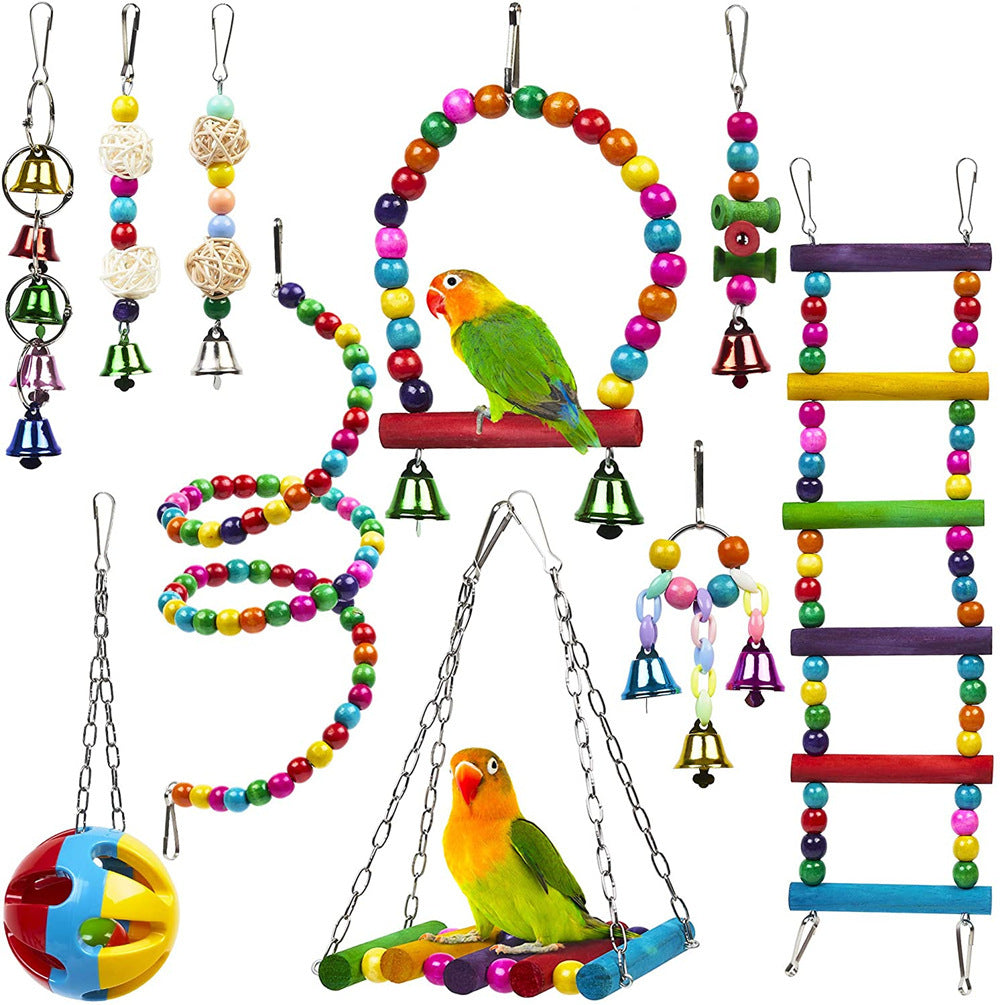 parrot toy