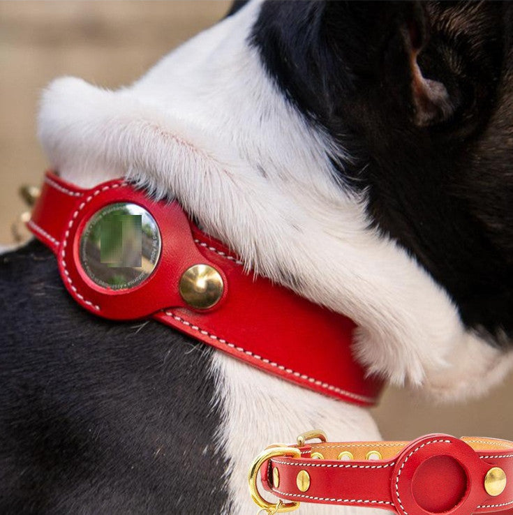 leather tracker collar