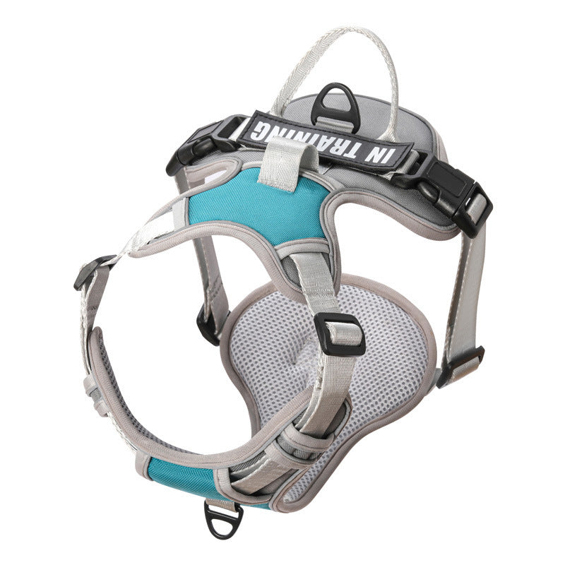 reflective harness with leash