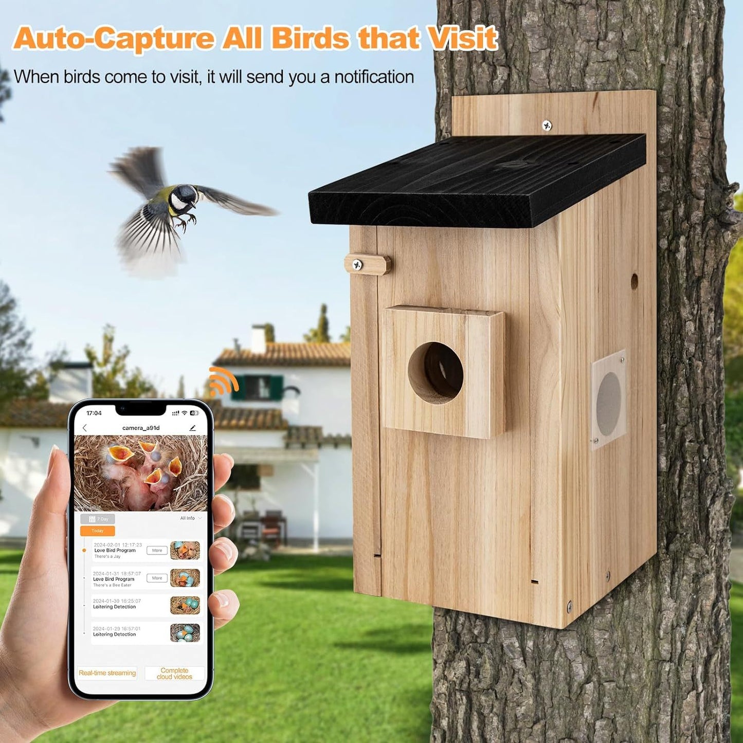 bird house with camera