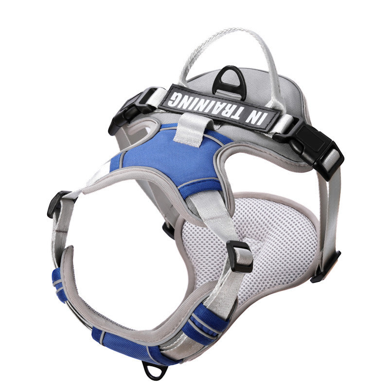 reflective harness with leash