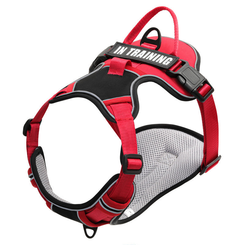 reflective harness with leash